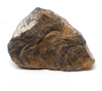 Stromatolit